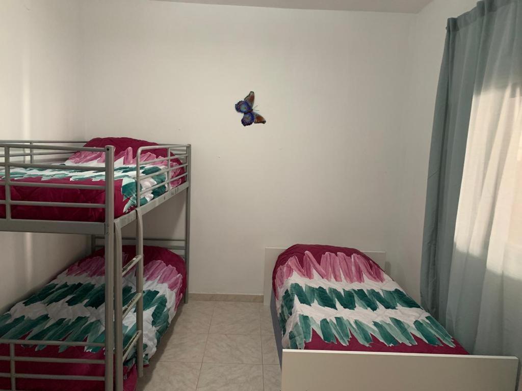 Tres Habitaciones Privadas 4Huespedes 4Huespedes 2Huespedes Piso A Compartir La Laguna  Eksteriør billede